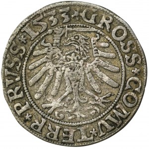 Zygmunt I Stary, Grosz Toruń 1533 - PRVSS
