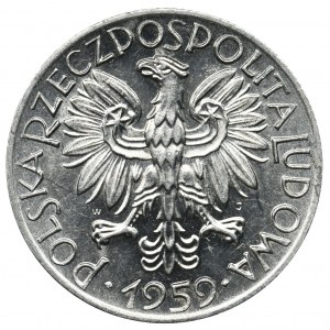 Rybak, 5 złotych 1959