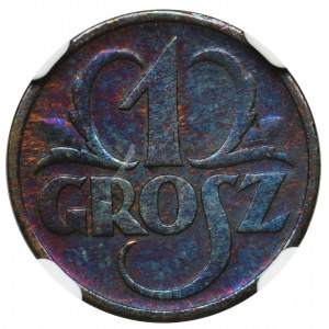 1 grosz 1935 - NGC UNC DETAILS