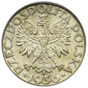 Żaglowiec, 2 złote 1936 - ECC MS63