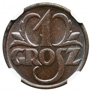 1 grosz 1931 - NGC MS67 BN