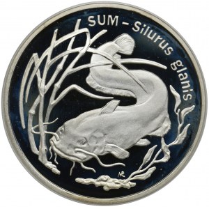 20 złotych 1995 - Sum