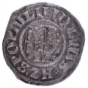 Pomorze, Księstwo Wołogoskie, Filip Juliusz 1592 - 1625, grosz 1610, Nowopole.