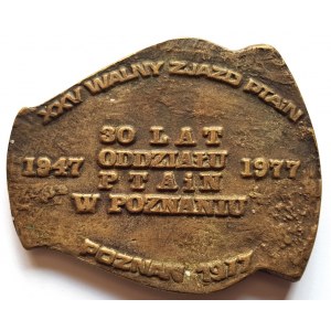 Medal. 30 lat oddziału PTAiN w Poznaniu 1977, Stasińska