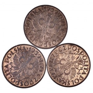 Polska, II Rzeczpospolita 1918-1939, zestaw 3 monet 2 groszowych 1939.