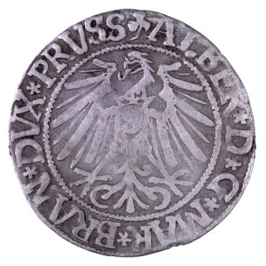 Prusy Książęce, Albert Hohenzollern 1525-1568, grosz 1543, Królewiec