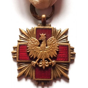 Polska II RP, Brązowy Krzyż PCK