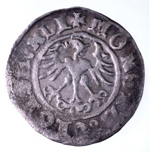 Polska, Zygmunt I Stary 1506-1548, półgrosz 1511, Kraków