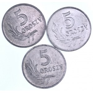 PRL 1944-1989, zestaw 3 monet 5 groszowych 1958, 1959, 1960.