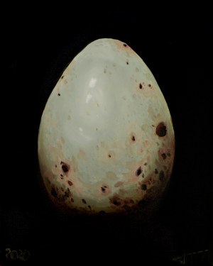 Szymon Kurpiewski, Egg #23: Jajo Zięby, 2020