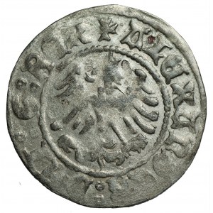 Aleksander Jagiellończyk (1501-1506) - Półgrosz koronny bez daty