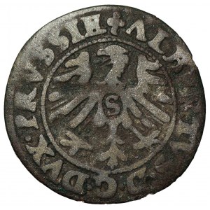 Prusy Książęce - Albert Hohenzollern (1525-1568) - szeląg 1553