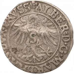 Prusy Książęce - Albert Hohenzollern (1525-1568) - grosz 1535 - Królewiec