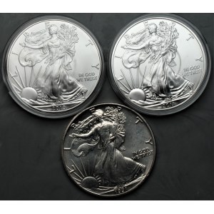 USA - zestaw 3 sztuk monet uncjowych - 1 dolar (1991-2011)