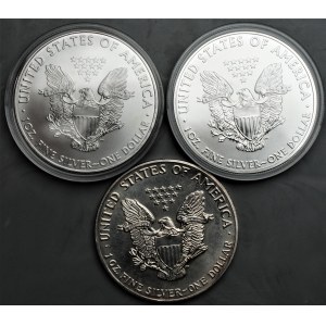 USA - zestaw 3 sztuk monet uncjowych - 1 dolar (1991-2011)