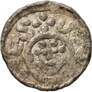 Bolesław III Krzywousty (1107-1138) - denar Wrocław 1097-1107 - monogram SI