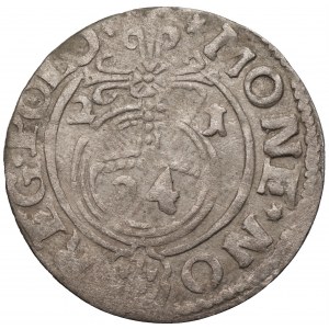 Zygmunt III Waza (1587-1632) - Półtorak 1621 Bydgoszcz – Rzadka dla tego rocznika ozdobna tarcza z herbem Sas