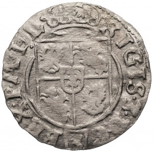 Zygmunt III Waza (1587-1632) - Półtorak 1625 Bydgoszcz – Rzadka dla tego rocznika mała korona (jak w szelągach).