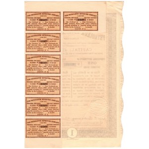 Tymczasowy Certyfikat na 1 akcję Petroleum Revenues Company 1911