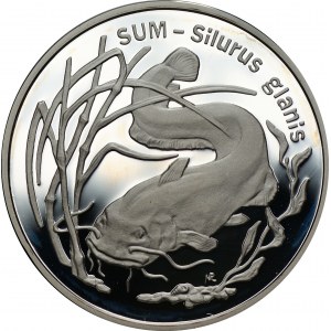 20 złotych 1995 - Sum - Ag 925