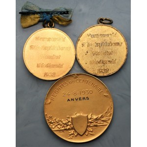 Zestaw 3 medali Wioślarskich - Warszawa 1932, Anvers 1930