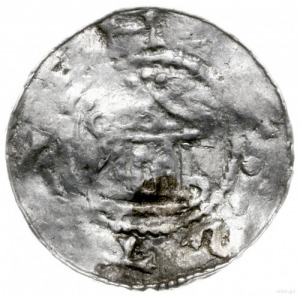 denar 1046-1056, mennica Stade; Aw: Głowa króla na wpro...