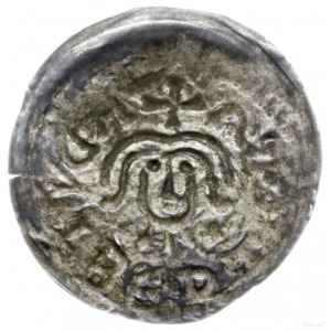denar do 1239, Gniezno; Popiersie z bujną fryzurą na wp...