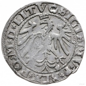 grosz 1536/I, Wilno; odmiana z literą I pod Pogonią, og...