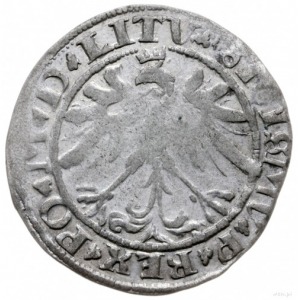 grosz 1536/F, Wilno; odmiana z literą F pod Pogonią, kr...
