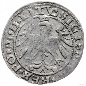 grosz 1536/A, Wilno; odmiana z literą A pod Pogonią, og...