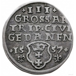 trojak 1557, Gdańsk; odmiana z lilijkami pod datą; Iger...