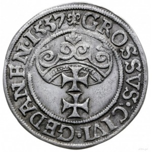grosz 1557, Gdańsk; duża głowa króla, końcówka napisu P...