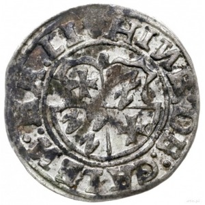 ferding 1555, Tallin; Haljak 163a; patyna, dość ładny