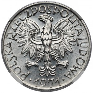 Rybak 5 złotych 1971