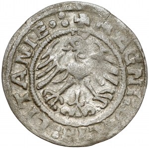 Zygmunt I Stary, Półgrosz Wilno 1519 - błąd LITANIE, odwrócone N