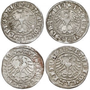 Zygmunt I Stary, Półgrosz Wilno 1513, zestaw (4szt)