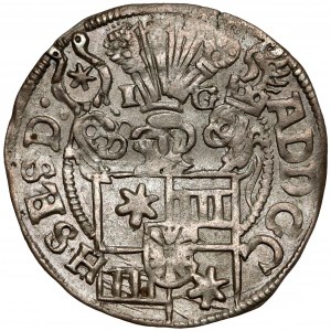 Schleswig-Holstein-Schauenburg, Adolf XIII., 1/24 Taler 1599