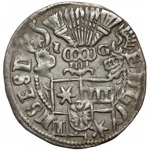 Schleswig-Holstein-Schauenburg, Adolf XIII., 1/24 Taler 1601