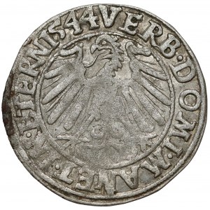 Śląsk, Fryderyk II, Grosz 1544, Legnica