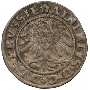 Prusy, Albrecht Hohenzollern, Szeląg Królewiec 1531