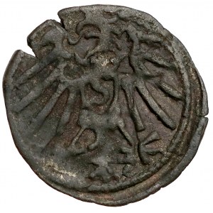 Prussia, Albrecht Hohenzollern, denario di Königsberg senza data