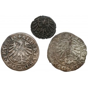 Prusy, Albrecht Hohenzollern, Denar i szelągi Królewiec 1550-1559 (3szt)