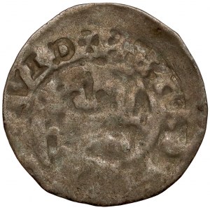 Silesia, Swidnica, Ludwig Jagiellonian, Half-penny 1526 - ONE SIDE