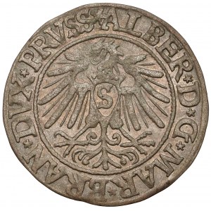 Prusy, Albrecht Hohenzollern, Grosz Królewiec 1538