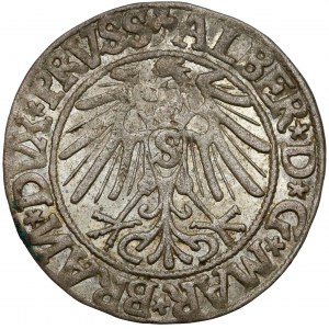Prusy, Albrecht Hohenzollern, Grosz Królewiec 1544 - Spiczasta broda