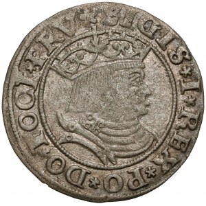 Zygmunt I Stary, Grosz Toruń 1531 - PRV / PRVS