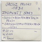 Zygmunt I Stary, Grosz Toruń 1531 - PRVS / PRVS - duża głowa