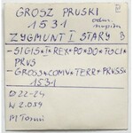 Zygmunt I Stary, Grosz Toruń 1531 - PRVS / PRVSS