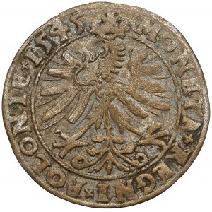 Zygmunt I Stary, Grosz Kraków 1545 - masywna korona