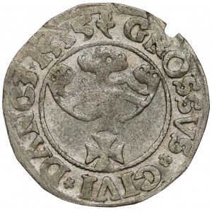 Zygmunt I Stary, Grosz Gdańsk 1535 - wczesny - po zawieszce